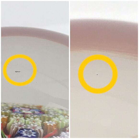 Perthshire PP30 1976 Millefiori Star Shaped Twist Ruby Vintage LE Paperweight - Picture 10 of 13